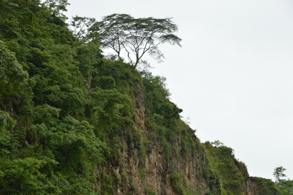 Foto de Alajuela, Costa Rica