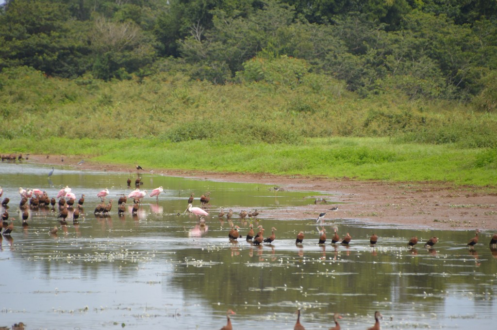 Foto de Alajuela, Costa Rica