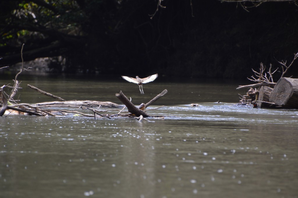 Foto de Alajuela, Costa Rica