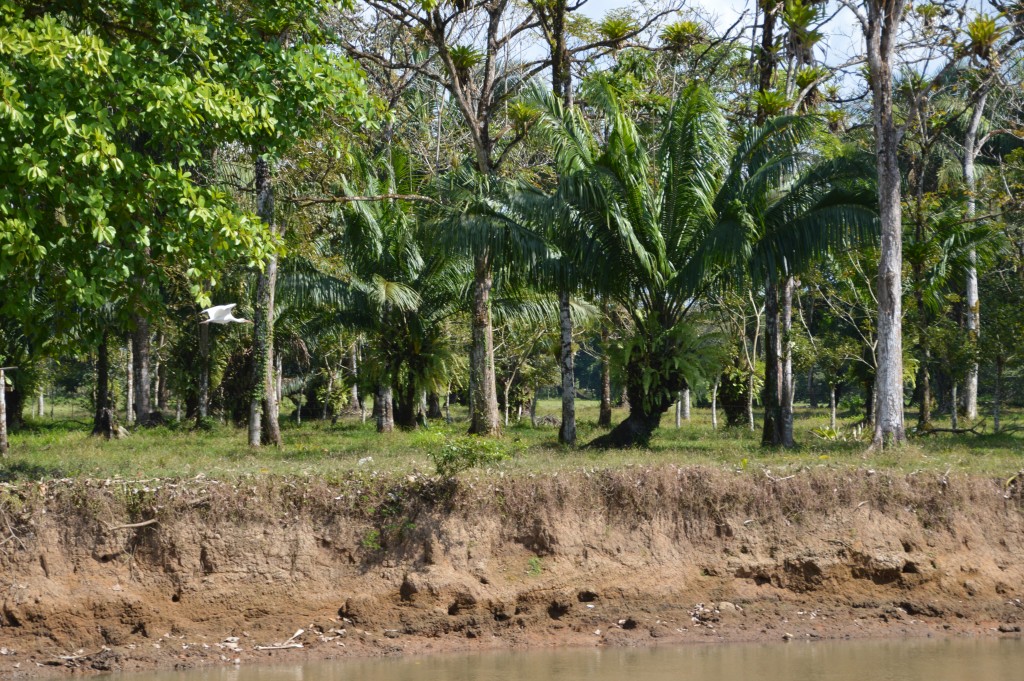 Foto de Alajuela, Costa Rica