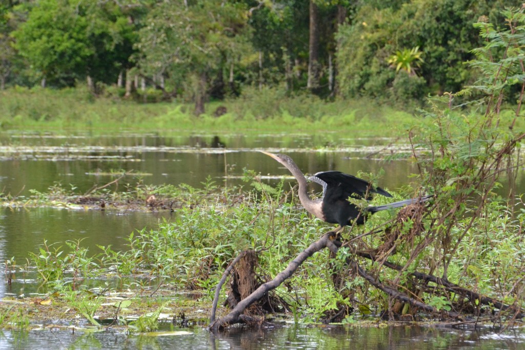 Foto de Alajuela, Costa Rica