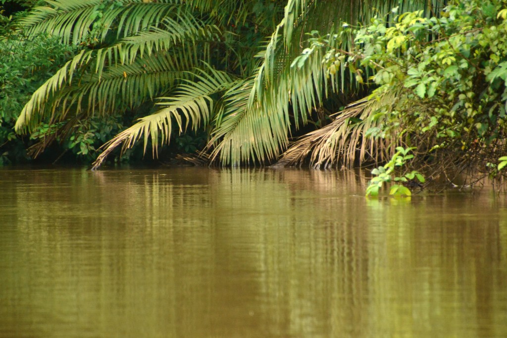 Foto de Alajuela, Costa Rica