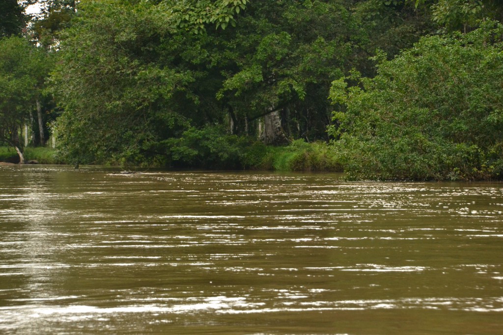 Foto de Alajuela, Costa Rica