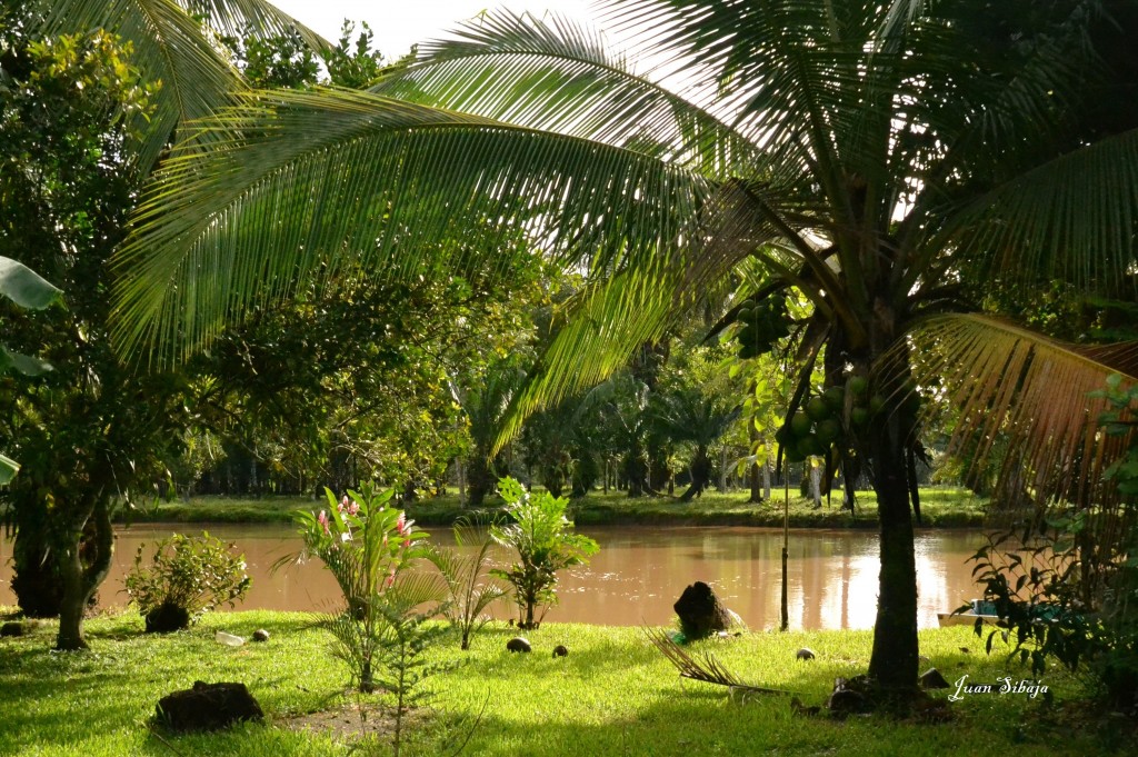 Foto de Caño Negro (Alajuela), Costa Rica