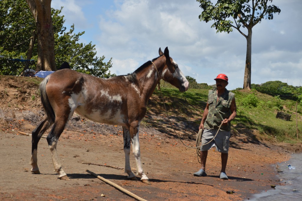 Foto de Caño Negro (Alajuela), Costa Rica