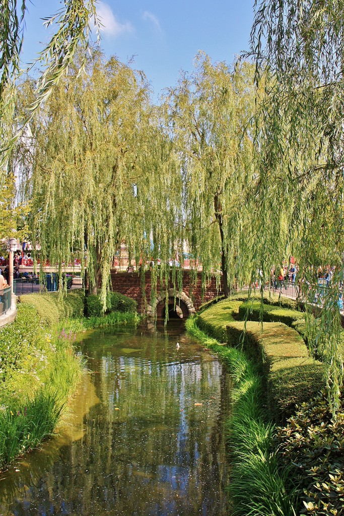 Foto: Disneyland París - París (Île-de-France), Francia