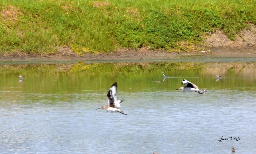 Foto de Alajuela, Costa Rica