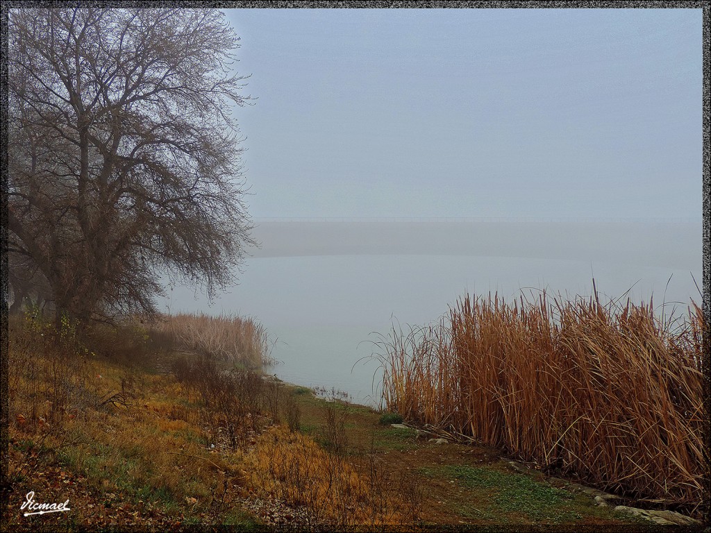 Foto: 150115-05 NIEBLA ZARAGOZANA - Zaragoza (Aragón), España