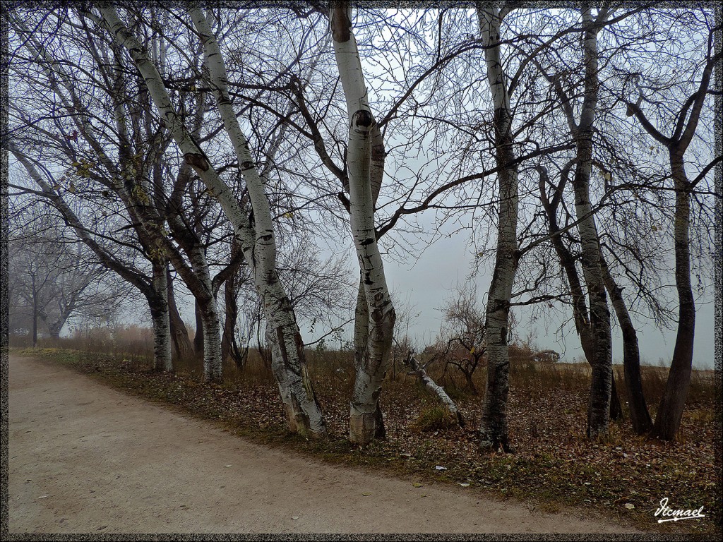 Foto: 150115-06 NIEBLA ZARAGOZANA - Zaragoza (Aragón), España