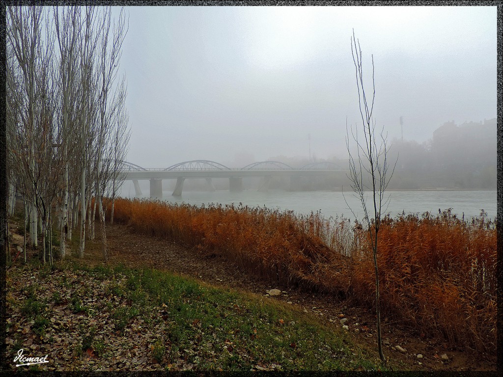 Foto: 150115-18 NIEBLA ZARAGOZANA - Zaragoza (Aragón), España