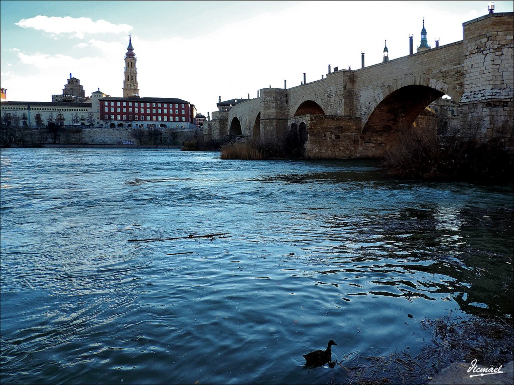 Foto: 150122-04 ZARAGOZA EL PILAR - Zaragoza (Aragón), España