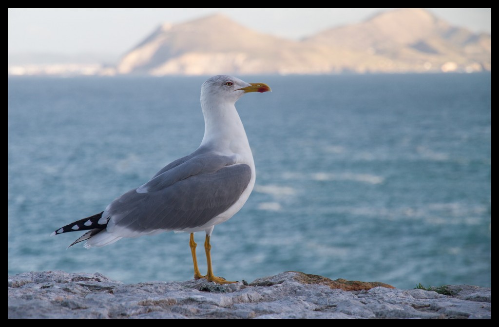 Foto de Castrourdiales (Cantabria), España