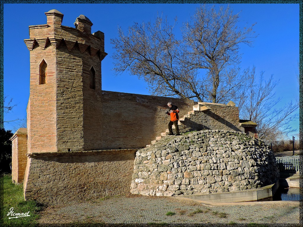 Foto: 150104-40 PARQUE LA ALFRANCA - Zaragoza (Aragón), España