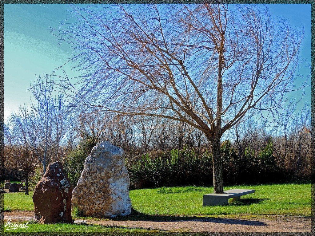 Foto: 150104-41 PARQUE LA ALFRANCA - Zaragoza (Aragón), España