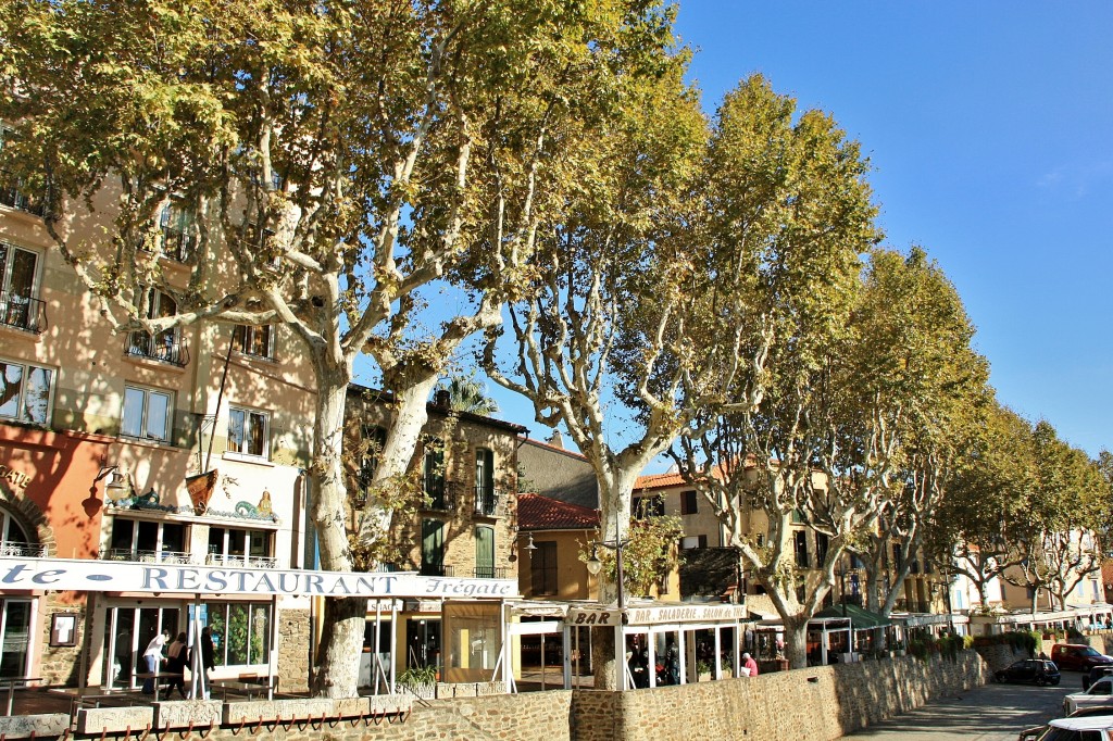 Foto: Centro histórico - Colliure (Languedoc-Roussillon), Francia