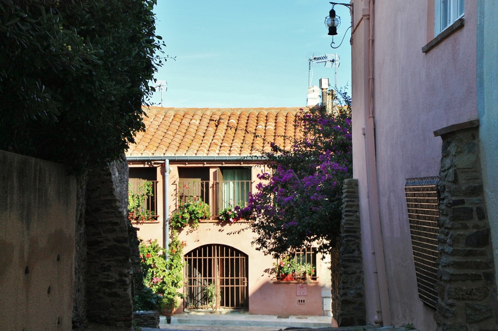 Foto: Centro histórico - Colliure (Languedoc-Roussillon), Francia