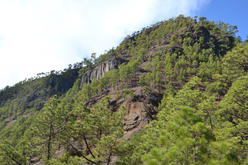 Foto: La Cumbrecita - La Palma (Santa Cruz de Tenerife), España