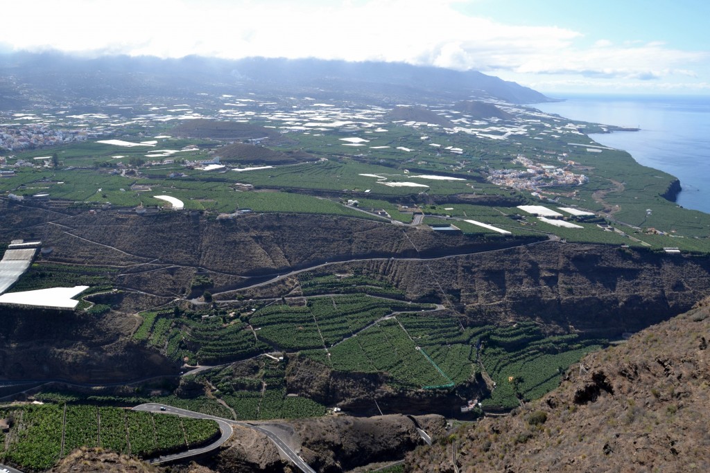 Foto: Tazacorte - La Palma (Santa Cruz de Tenerife), España