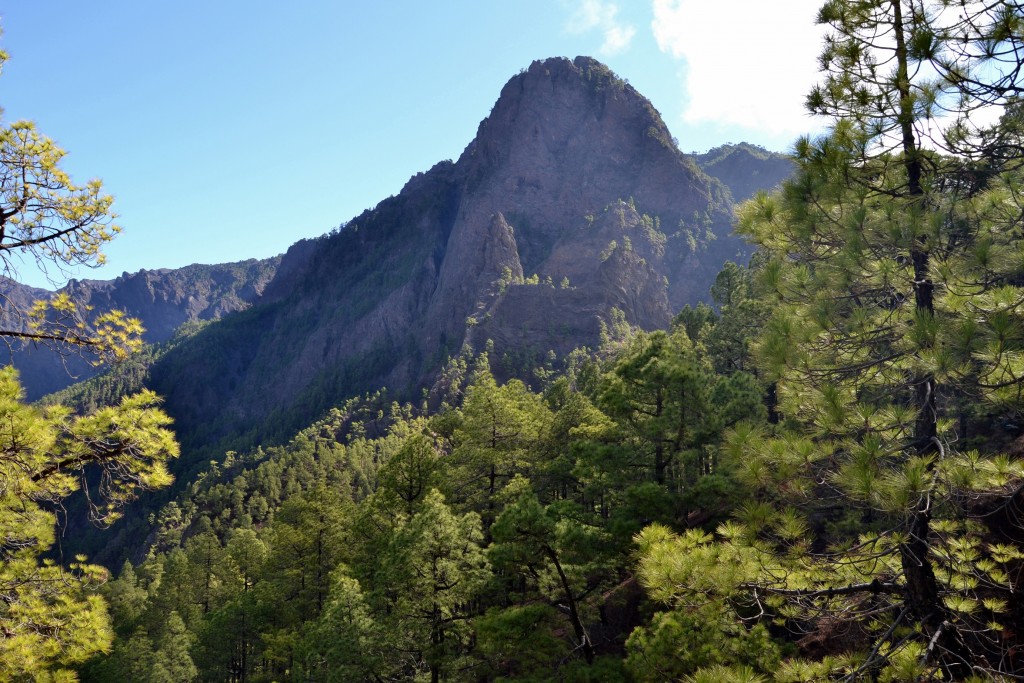 Foto: La Cumbrecita - La Palma (Santa Cruz de Tenerife), España