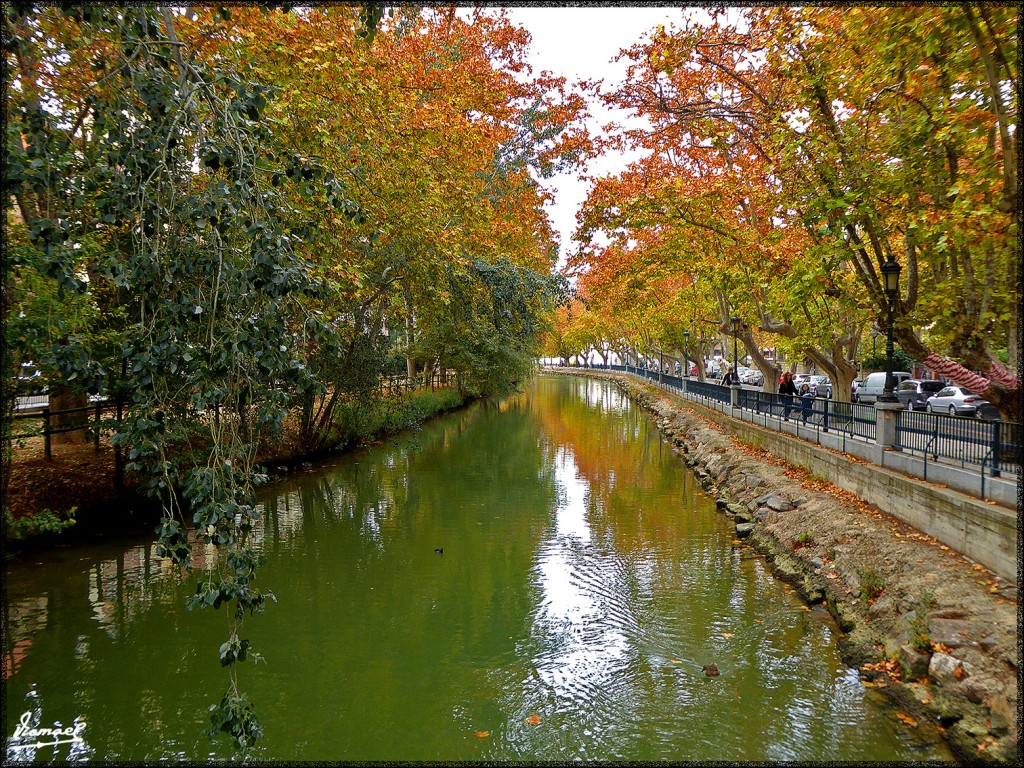 Foto: 151116-10 ZARAGOZA CANAL - Zaragoza (Aragón), España