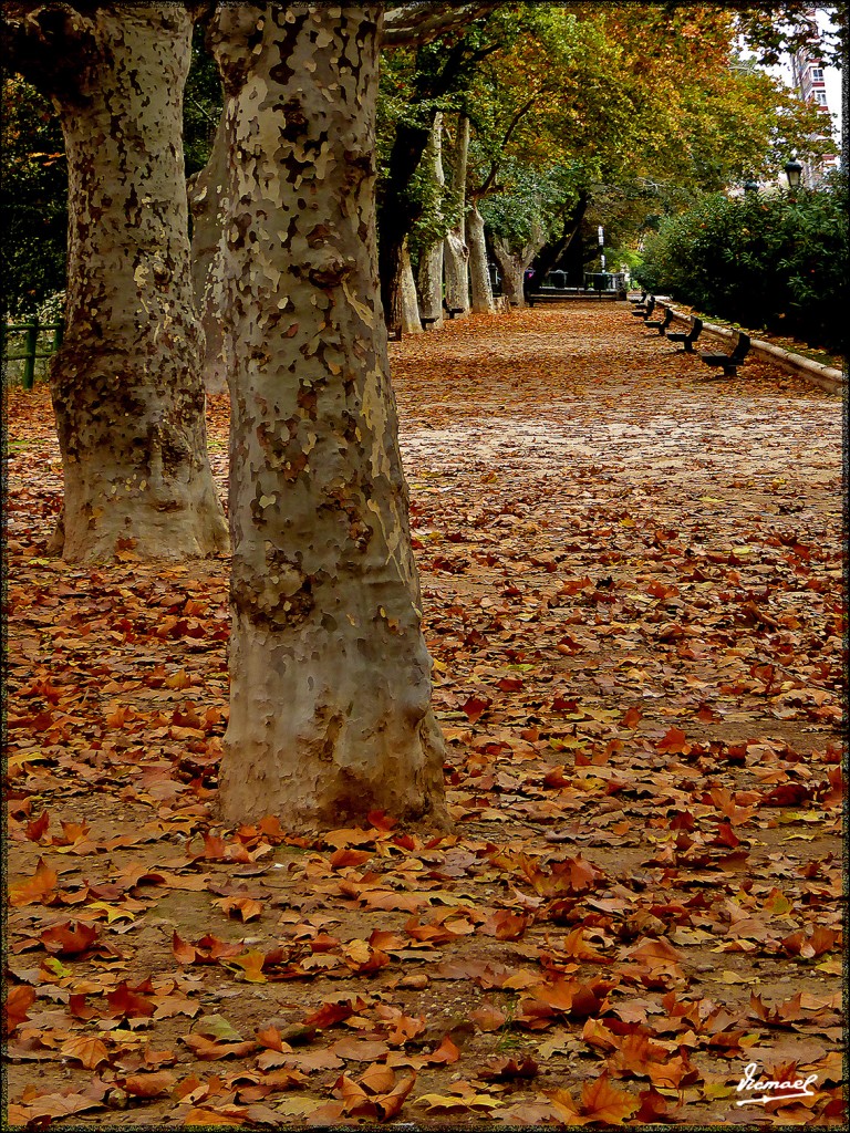 Foto: 151116-18 ZARAGOZA CANAL - Zaragoza (Aragón), España