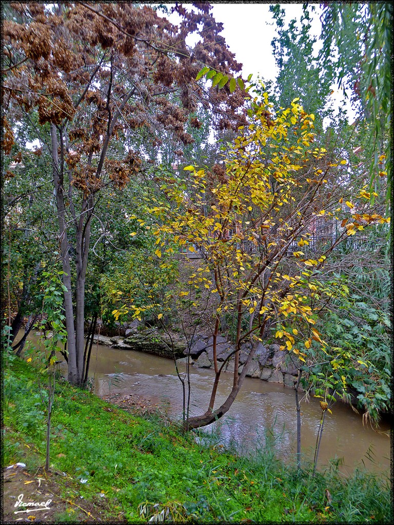 Foto: 151115-22 ZARAGOZA - Zaragoza (Aragón), España