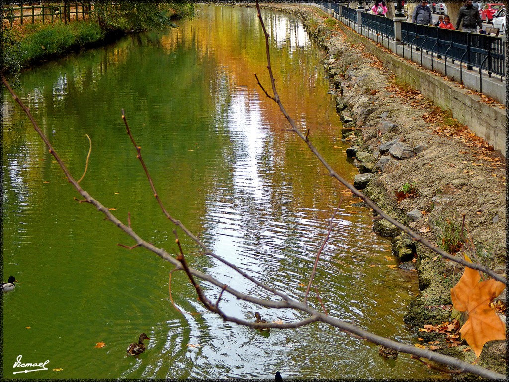 Foto: 151116-13 ZARAGOZA CANAL - Zaragoza (Aragón), España