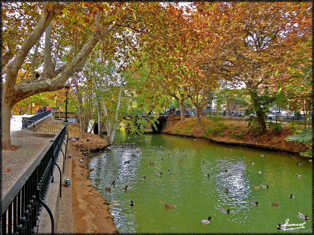 Foto: 151116-05 ZARAGOZA CANAL - Zaragoza (Aragón), España