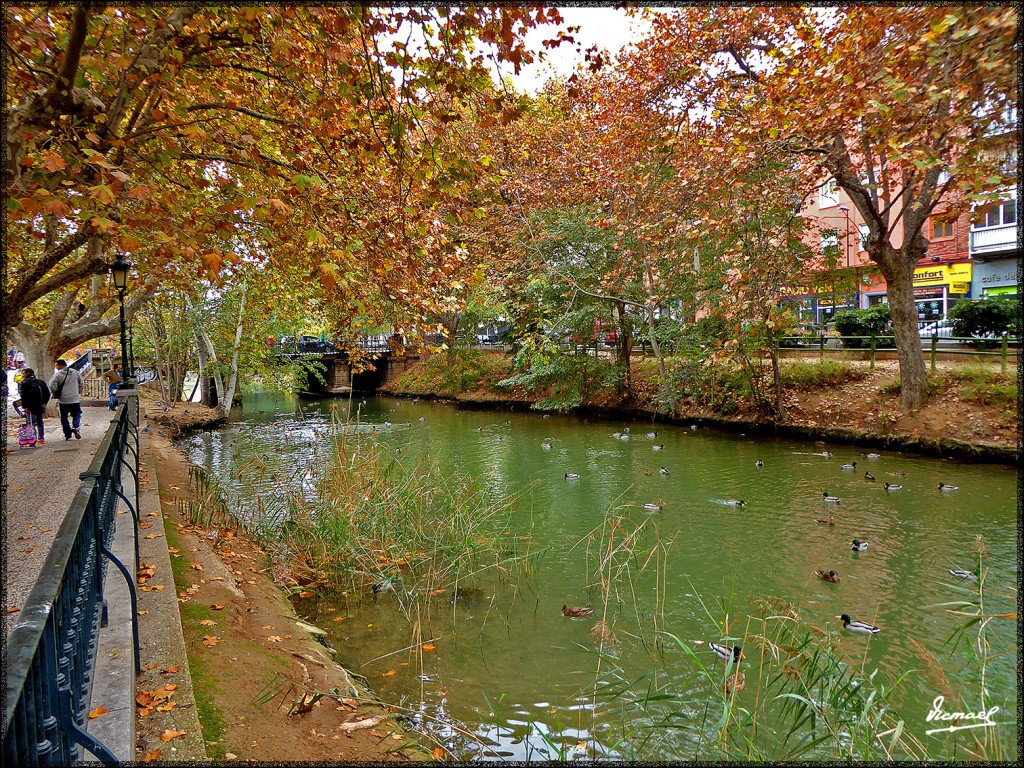 Foto: 151116-07 ZARAGOZA CANAL - Zaragoza (Aragón), España