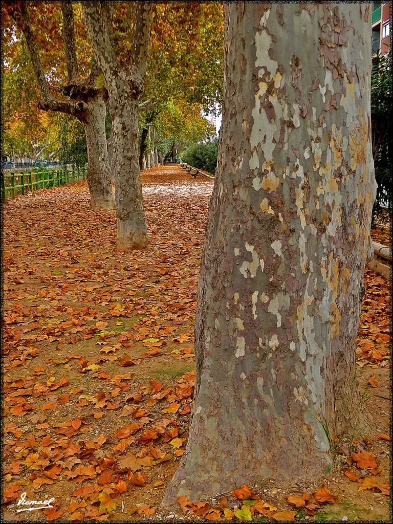 Foto: 151116-19 ZARAGOZA CANAL - Zaragoza (Aragón), España