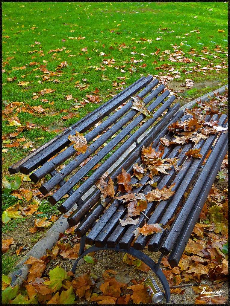 Foto: 151115-09 ZARAGOZA - Zaragoza (Aragón), España