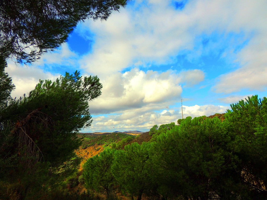 Foto de Mértola (Beja), Portugal