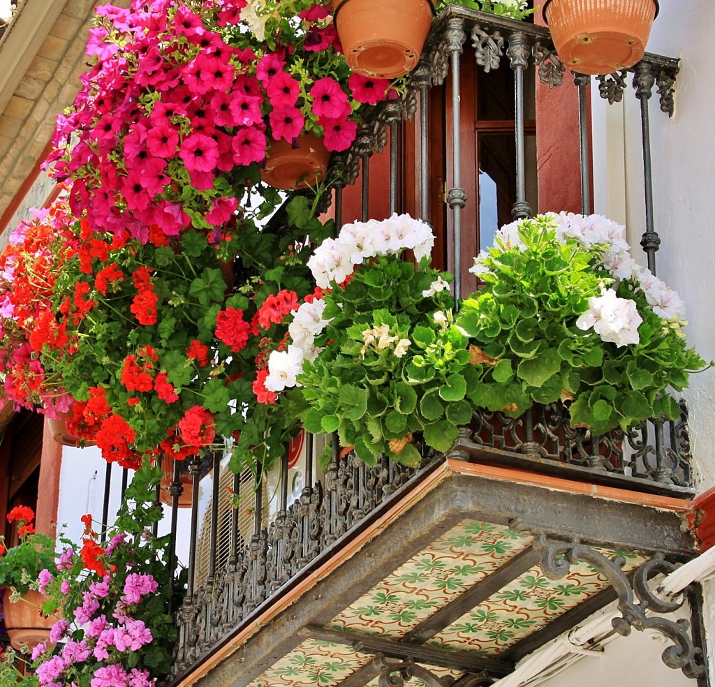 Foto: Centro  histórico - Montoro (Córdoba), España