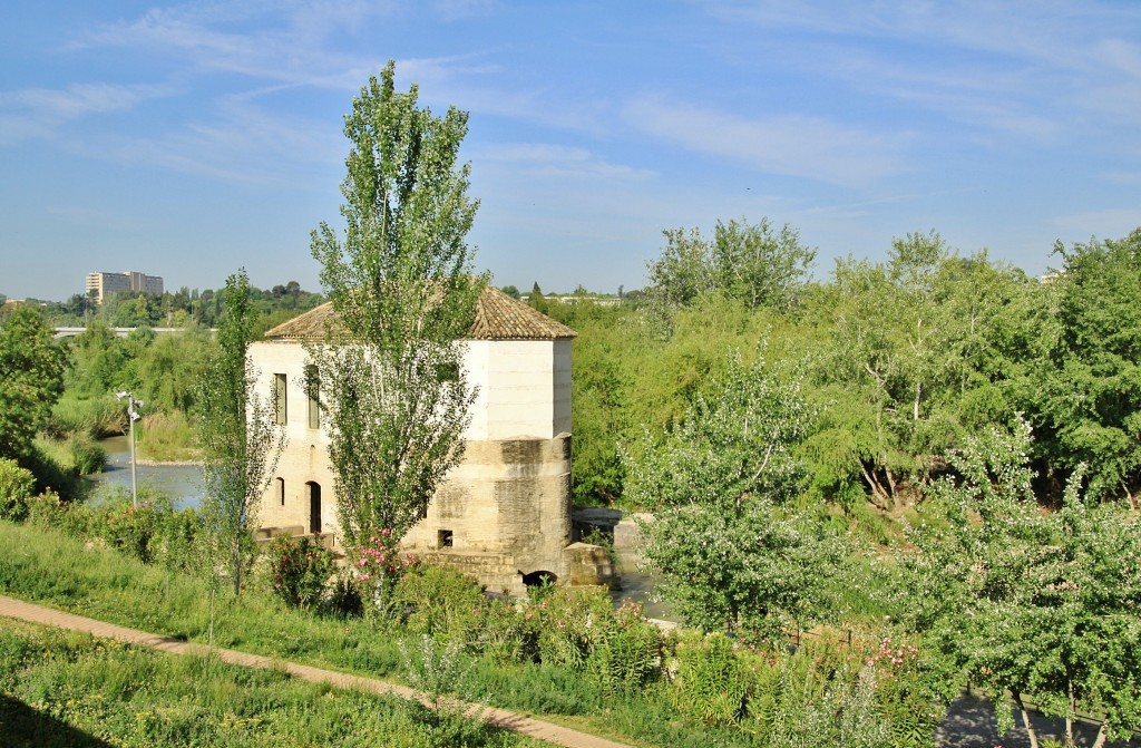 Foto: Molino de agua - Córdoba (Andalucía), España