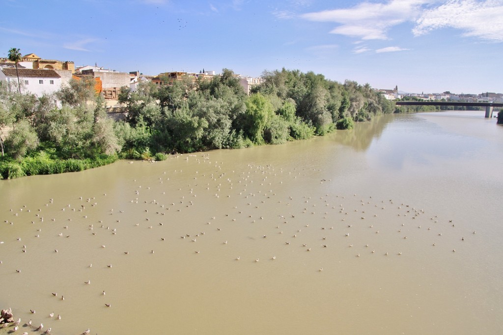 Foto: Rio Guadalquivir - Córdoba (Andalucía), España