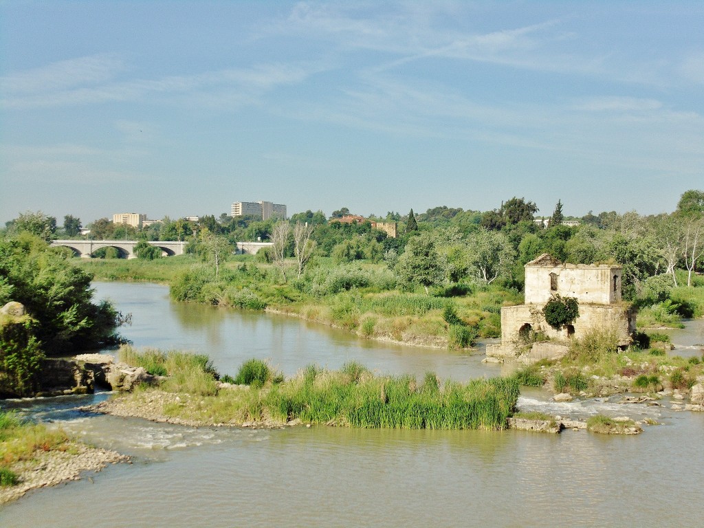 Foto: Rio Guadalquivir - Córdoba (Andalucía), España