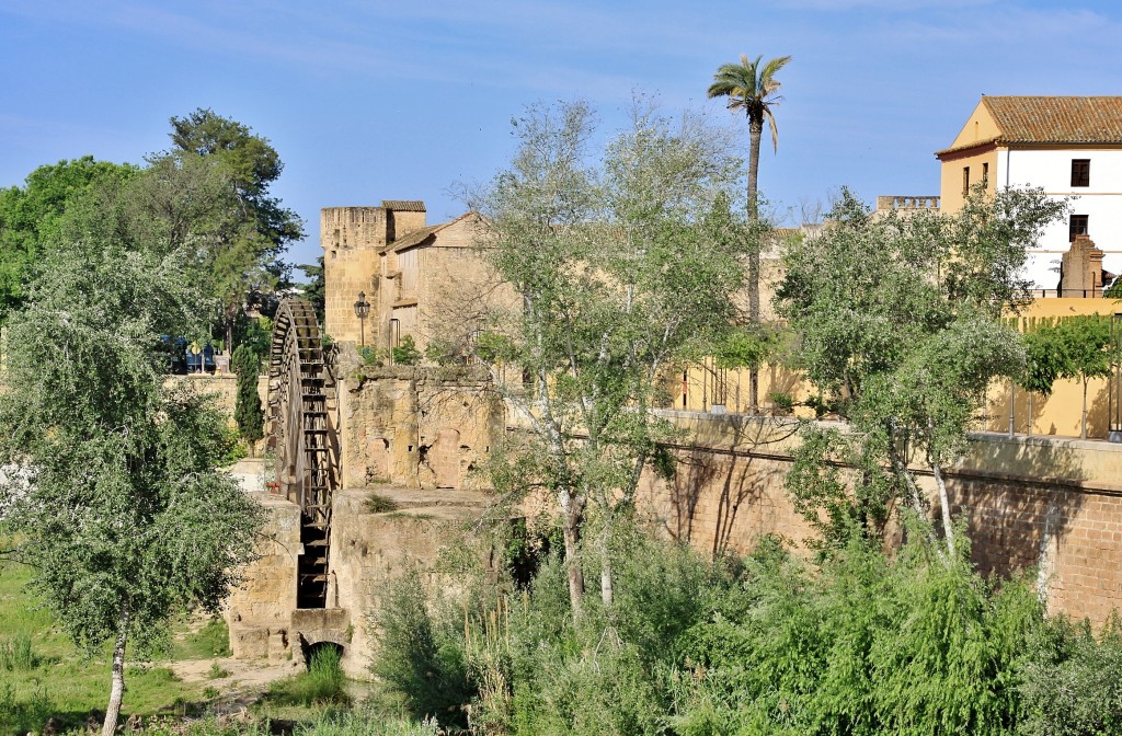 Foto: Noria en el rio Guadalquivir - Córdoba (Andalucía), España