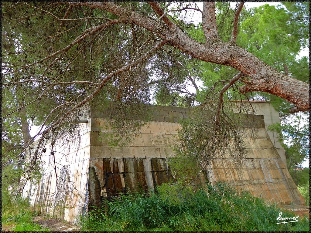 Foto: 151028-22 Termas Pallares - Alhama De Aragon (Zaragoza), España