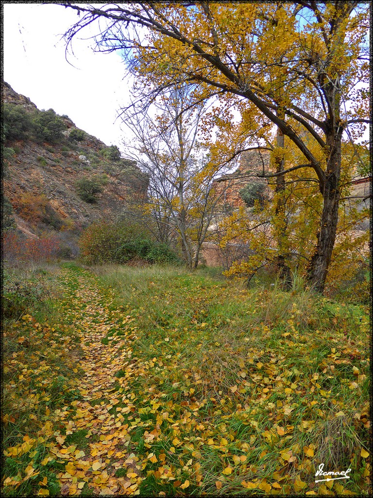 Foto: 151031-31 SOMAEN - Somaen (Soria), España