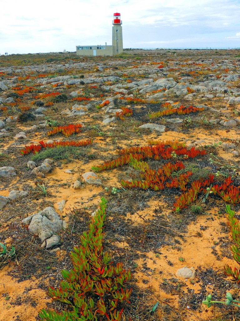 Foto de Sagres (Faro), Portugal