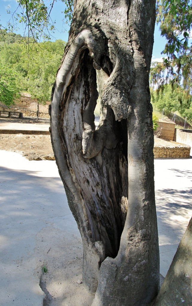 Foto: Medinat al-Zahra - Córdoba (Andalucía), España