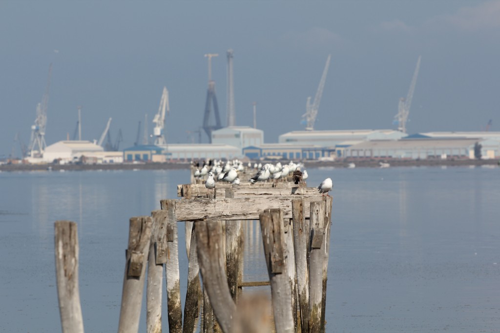 Foto de San Fernando (Cádiz), España