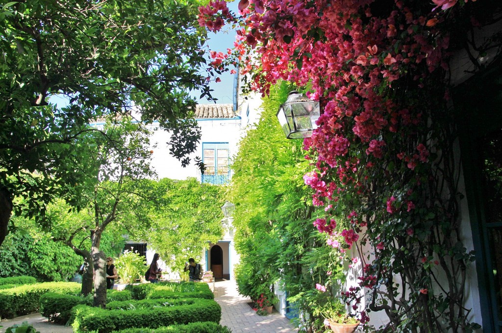 Foto: Palacio de Viana - Córdoba (Andalucía), España