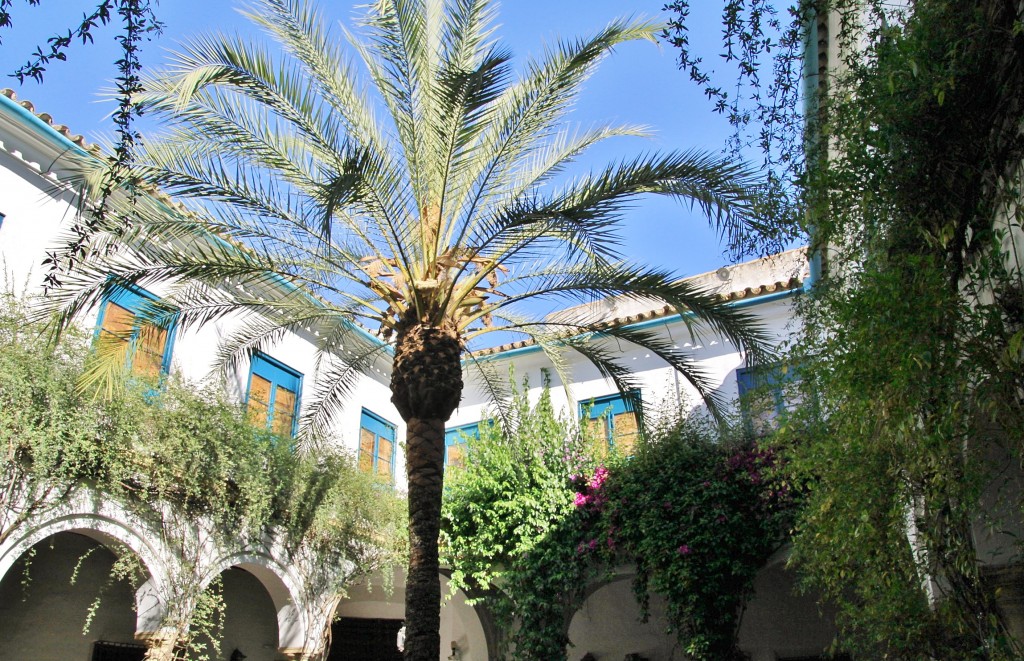 Foto: Palacio de Viana - Córdoba (Andalucía), España