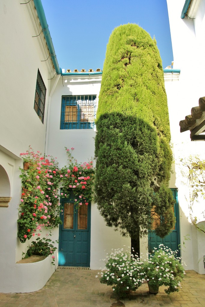 Foto: Palacio de Viana - Córdoba (Andalucía), España