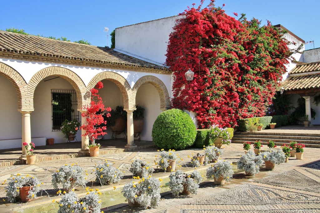 Foto: Palacio de Viana - Córdoba (Andalucía), España