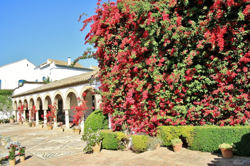 Foto: Palacio de Viana - Córdoba (Andalucía), España