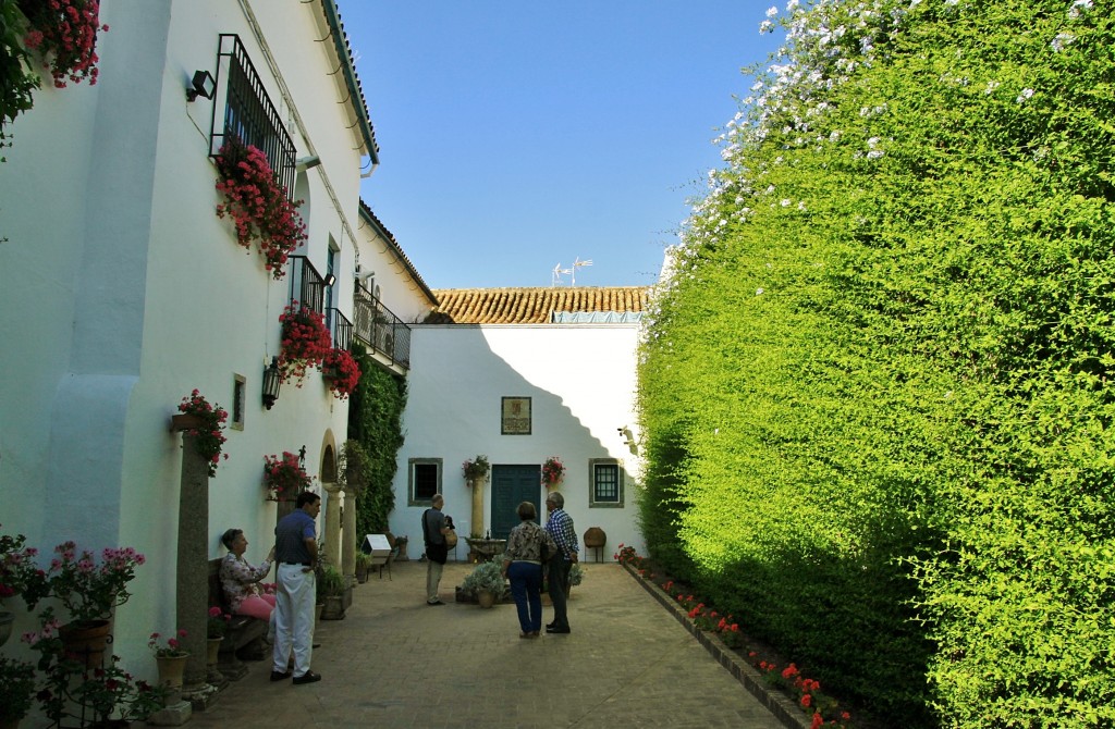 Foto: Palacio de Viana - Córdoba (Andalucía), España