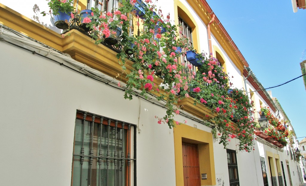 Foto: Centro histórico - Córdoba (Andalucía), España