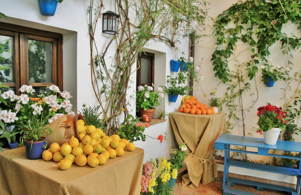 Foto: Concurso de patios 2015 - Córdoba (Andalucía), España